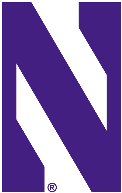Northwestern Wildcats 1981-Pres Alternate Logo v4 DIY iron on transfer (heat transfer)